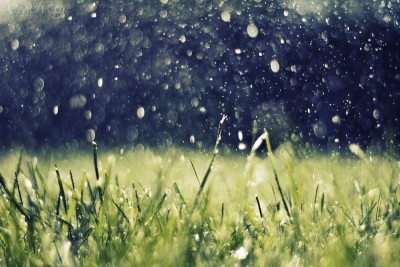 summer_rain_by_meandarksmile-d3nrqyu.jpg (171.93 KiB) 8887 zobrazení summer_rain_by_meandarksmile-d3nrqyu.jpg